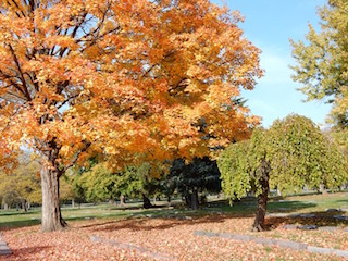 Fall