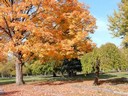 Fall