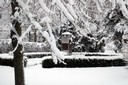 DCA winter