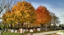 Bath Township - Byron