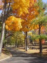Woodland Cemetery & Arboretum, Dayton