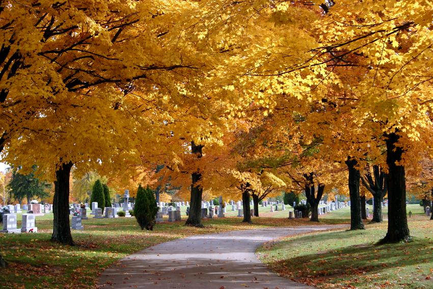 Dayton Memorial Park, Vandalia
