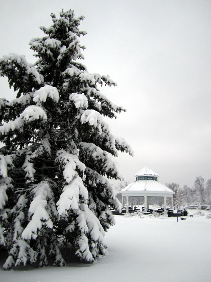 DCA winter