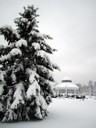 DCA winter