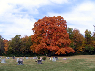 Oak Grove Fall