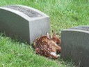 George By Gregory Kapcar Riverside Cemetery - Cleveland