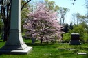 Spring Grove Cemetery - Spring
