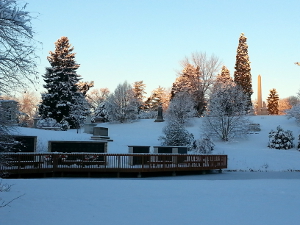 Spring Grove winter