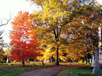 New Image, SprGIMG_20131101_084124.jpg
