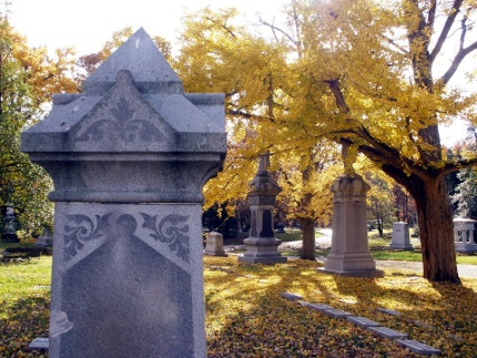 Spring Grove 
