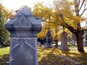 Spring Grove 