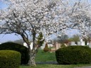 David's Cemetery - Kettering