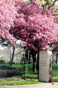 Riverside Cemetery - Cleveland