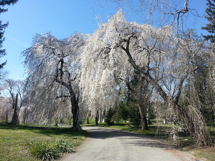 Spring Grove Cemetery - Cincinnati