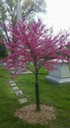 Spring Grove Cemetery - Cincinnati