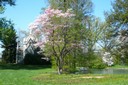 Spring Grove Cemetery - Cincinnati