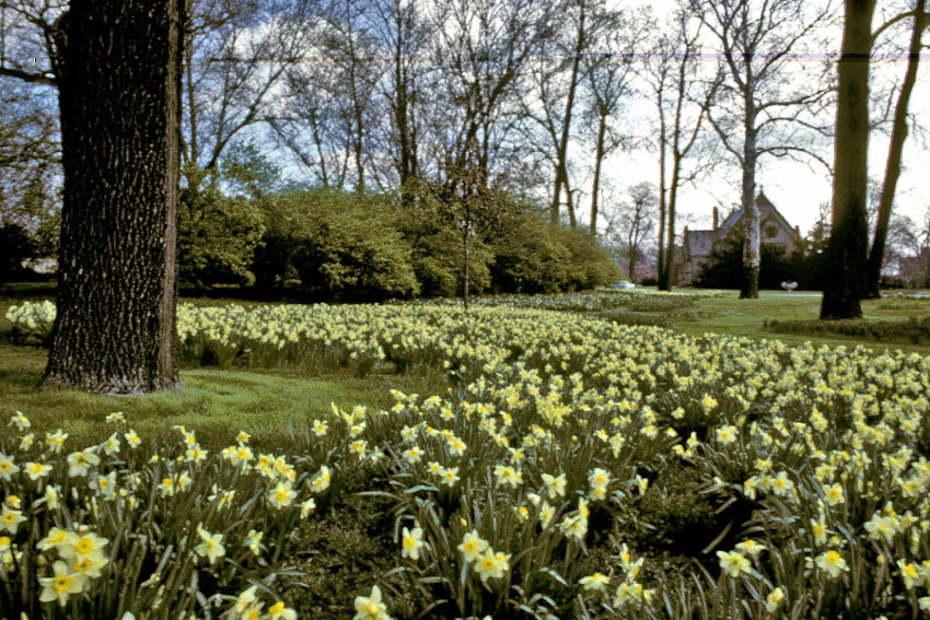 Spring Grove Cemetery - Cincinnati