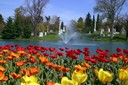 Spring Grove Cemetery - Cincinnati