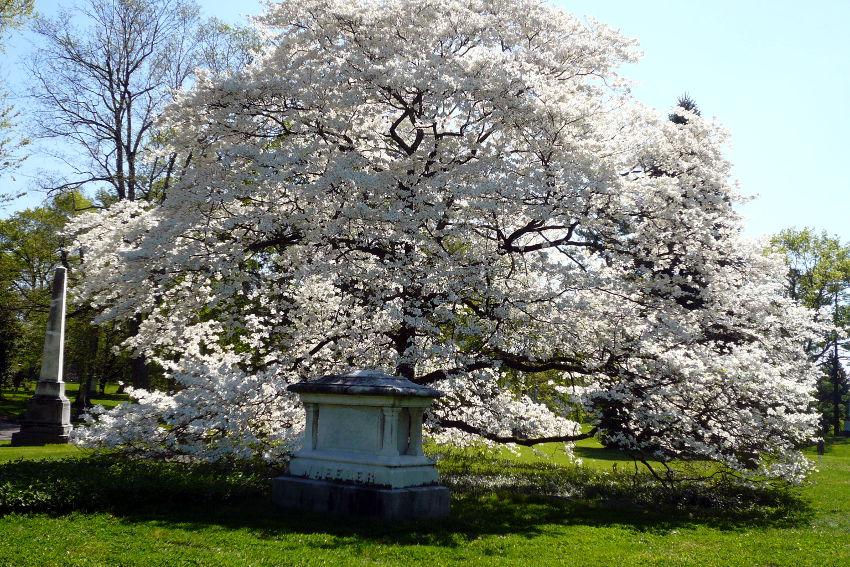 Spring Grove Cemetery - Cincinnati
