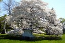 Spring Grove Cemetery - Cincinnati
