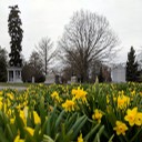 Spring Grove Cemetery - Cincinnati