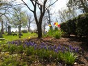 Woodland Cemetery & Arboretum - Dayton