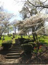 Woodland Cemetery & Arboretum - Dayton