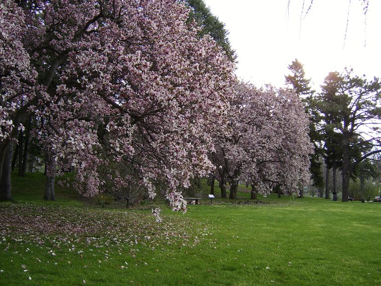 Woodland Cemetery & Arboretum - Dayton