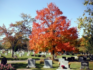 Toledo fall image