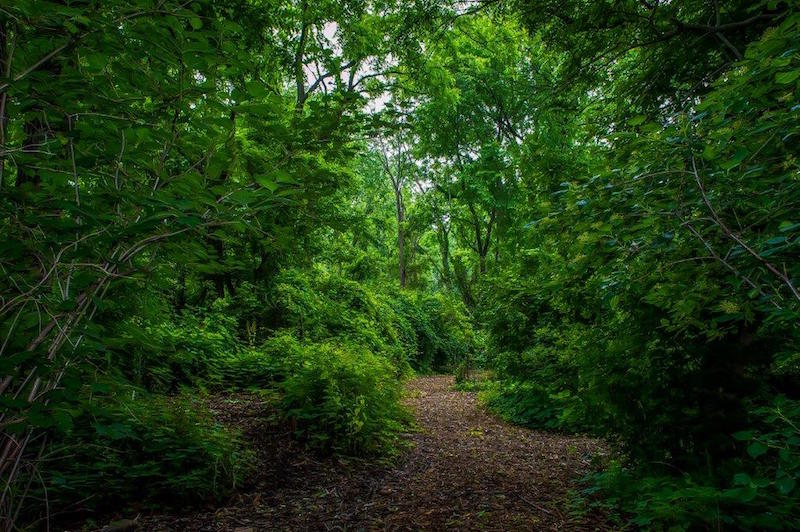 Toledo Memorial Park