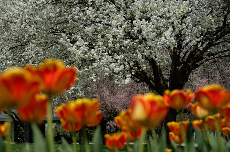 Toledo Memorial Park