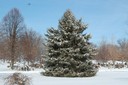 WINTER21
