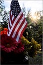 Woodland Flag