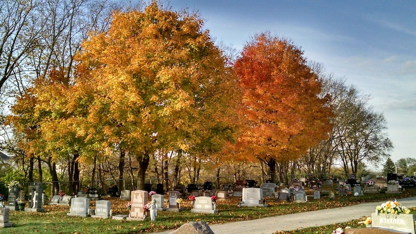 Bath Township - Byron