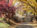 Woodland Cemetery & Arboretum, Dayton
