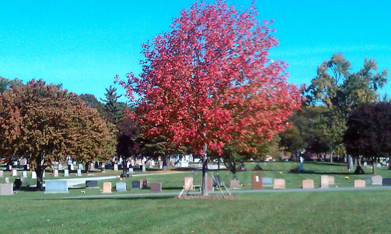 Catholic Cemeteries - Toledo