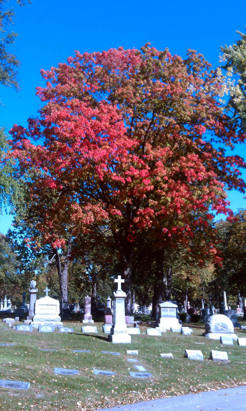 Catholic Cemeteries - Toledo