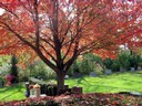 David's Cemetery, Kettering