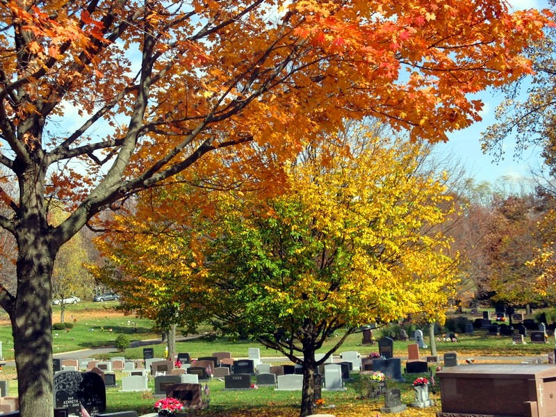David's Cemetery, Kettering