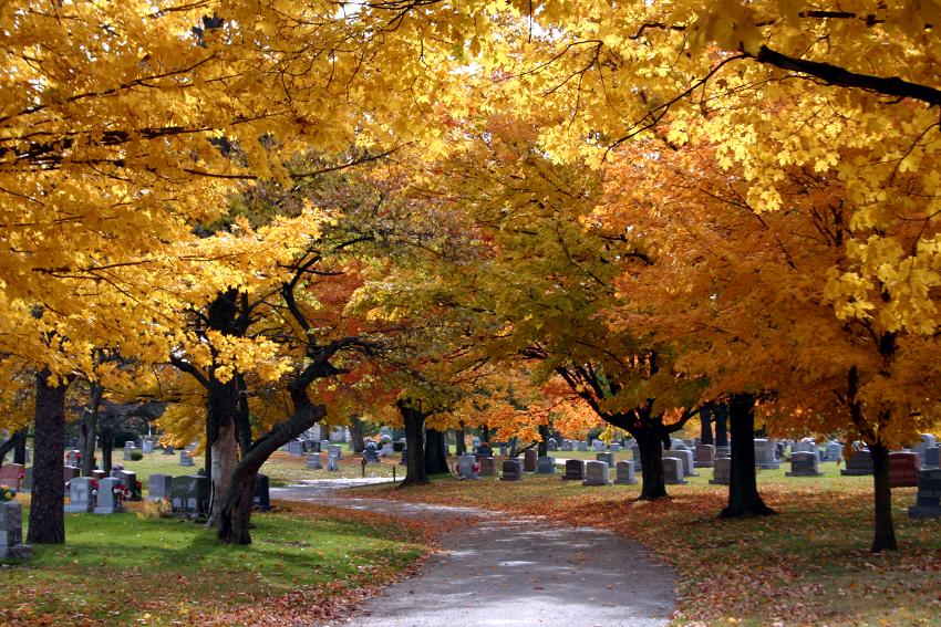 Dayton Memorial Park, Vandalia