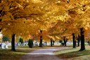 Dayton Memorial Park, Vandalia