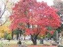 Perry Township - Cemeteries - Lake County