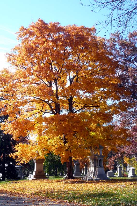 Spring Grove Cemetery, Cincinnati