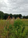 Calvary Cemetery - Dayton