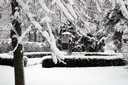 David's Cemetery - Kettering