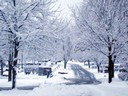 David's Cemetery - Kettering