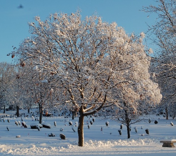 David's Cemetery - Kettering