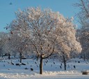 David's Cemetery - Kettering