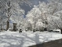 Lakeview - Cleveland