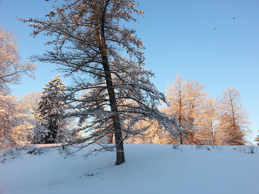 Spring Grove Cemetery - Cincinnati
